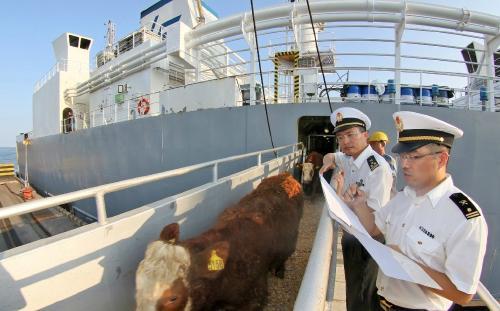 南美白對(duì)蝦進(jìn)口報(bào)關(guān)清關(guān)全流程指導(dǎo)與國(guó)內(nèi)貿(mào)易代理服務(wù)方案